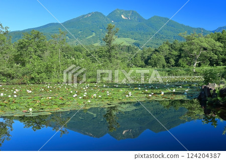 [Niigata Prefecture] Symmetrical Mt. Myoko (Imori Pond) 124204387
