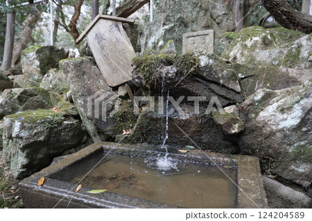 奈良縣奈良市春日野町春日大社 124204589