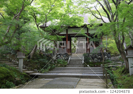 Jojakkoji Temple Kyoto Sagano Arashiyama 124204878