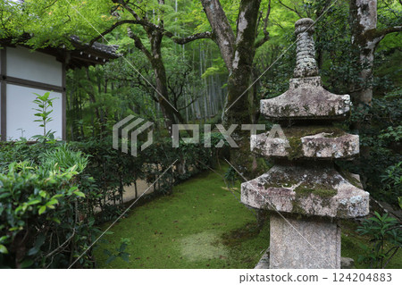 Jojakkoji Temple Kyoto Sagano Arashiyama 124204883