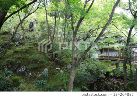 Jojakkoji Temple Kyoto Sagano Arashiyama 124204885
