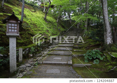 Jojakkoji Temple Kyoto Sagano Arashiyama 124204887