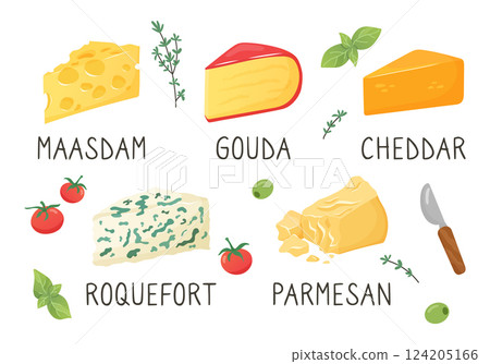 Set of different types of cheese. Cheese appetizers. Olives, tomatoes, basil, thyme. Maasdam, Gouda, Cheddar. Roquefort, Parmesan. Cartoon icons collection. Vector illustration. Vector illustration 124205166