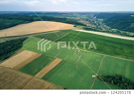 Aerial landscape view of green and yellow cultivated agricultural fields with growing crops on bright summer day 124205178