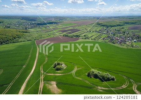 Aerial landscape of green farmland in summer season with growing crops. Agricultural cultivated field. Farming and agriculture industry 124205181