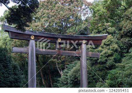 Towering wooden torii gate at Meiji Shrine in Tokyo, adorned with golden chrysanthemum emblems Towering wooden torii gate at Meiji Shrine in Tokyo, adorned with golden chrysanthemum emblems 124205451