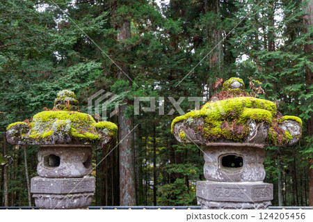 Traditional Japanese stone lanterns aged by time and covered in thick moss Traditional Japanese stone lanterns aged by time and covered in thick moss 124205456