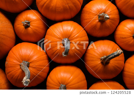 Top view of orange pumpkins close up 124205528