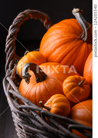 Wicker garden basket filled with different size of orange pumpkins 124205540