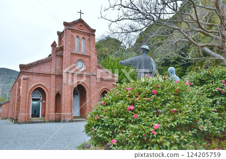 Camellias at full bloom at Dozaki Cathedral in Nagasaki 124205759