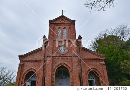 長崎堂崎天主教堂的山茶花盛開 124205760