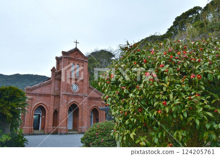 長崎堂崎天主教堂的山茶花盛開 124205761