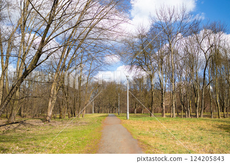 Wide Park Path in Spring with Bare Trees and Clear Blue Sky Wide Park Path in Spring with Bare Trees and Clear Blue Sky 124205843