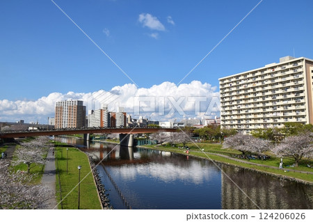 晴天的東京小松川千本櫻 晴天的東京小松川千本櫻 124206026