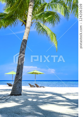 在菲律賓邦勞的海灘 124206109