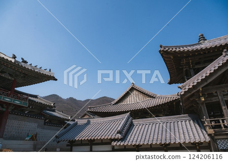 Ancient Korean Architectural Scenery 124206116