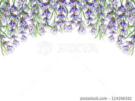 Lavender horizontal frame. Branches of flowers hanging from the top. Hand drawn watercolor illustration isolated on white. For greeting cards, wedding invitations, labels, envelopes. 124206382