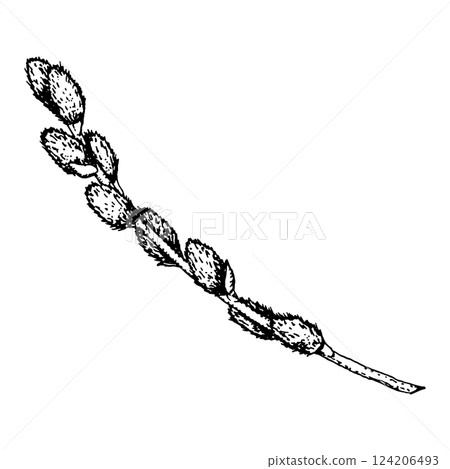 Hand-drawn ink illustration of a woven basket with a handle. Perfect for Easter themes, rustic decor, packaging, branding, botanical arrangements, greeting cards, invitations, spring themed projects Hand-drawn ink illustration of a woven basket with a handle. Perfect for Easter themes, rustic decor, packaging, branding, botanical arrangements, greeting cards, invitations, spring themed projects 124206493