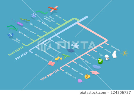3D Isometric Flat Vector Illustration of Phylogenetic Tree, Educational Diagram 124206727
