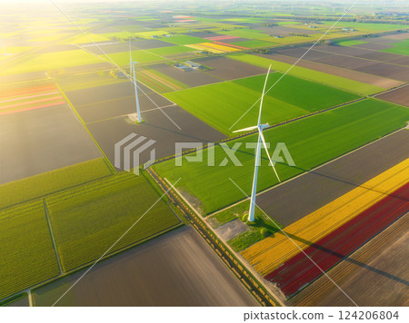 Aerial view of the tulips field with wind turbines. Landscape from a drone.  124206804