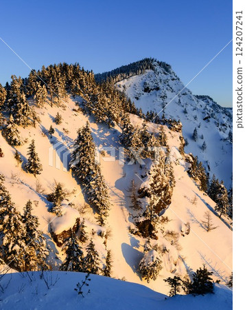 A spectacular view of the sunrise from the Kuroboyama ridgeline in the depths of winter A spectacular view of the sunrise from the Kuroboyama ridgeline in the depths of winter 124207241