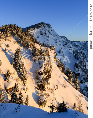 A spectacular view of the sunrise from the Kuroboyama ridgeline in the depths of winter A spectacular view of the sunrise from the Kuroboyama ridgeline in the depths of winter 124207242