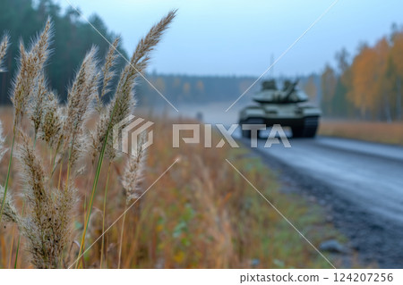 Military vehicles on the road in forest, grass on a foreground 124207256