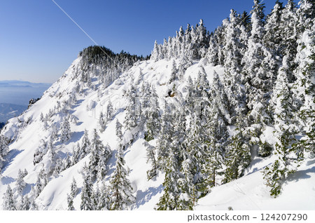 Snowy scenery of the Kuroboyama ridgeline in the harsh winter Snowy scenery of the Kuroboyama ridgeline in the harsh winter 124207290