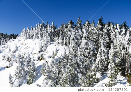 Snowy scenery of the Kuroboyama ridgeline in the harsh winter Snowy scenery of the Kuroboyama ridgeline in the harsh winter 124207291