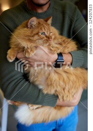 Close-up of a cat face. Portrait of a female kitten. Cat looks curious and alert. Detailed picture of a cats face. Close-up of a cat face. Portrait of a female kitten. Cat looks curious and alert. Detailed picture of a cats face. 124207833
