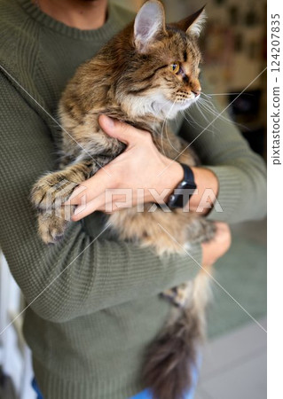 Close-up of a cat face. Portrait of a female kitten. Cat looks curious and alert. Detailed picture of a cats face. 124207835