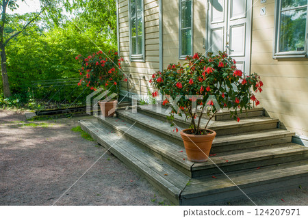 Amazing red fuchsia flowers ('Coralle') in potted plants on the steps of a wooden house (part) Amazing red fuchsia flowers ('Coralle') in potted plants on the steps of a wooden house (part) 124207971