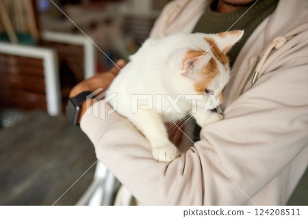 Beautiful cat in living room at home 124208511