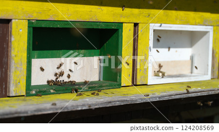 Busy bees flying in and out of colorful hives during a sunny afternoon in a vibrant apiary Busy bees flying in and out of colorful hives during a sunny afternoon in a vibrant apiary 124208569