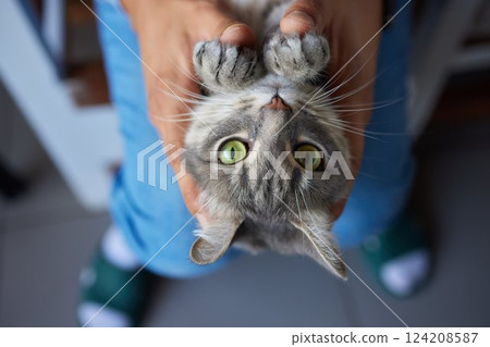 young man holding and petting cute cat male young man holding and petting cute cat male 124208587