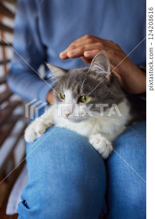 young man holding and petting cute cat male 124208616