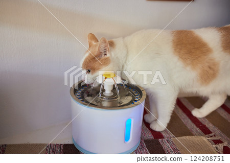 Pet water dispenser with automatic gravity refill. 124208751