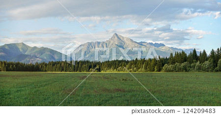 Summer meadow panorama, with forest and mount Krivan (Slovak symbol) peak in distance, afternoon clouds above 124209483