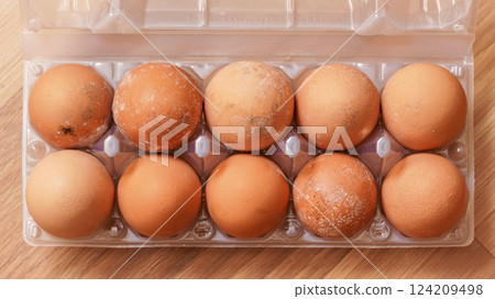 Mildew growing on mouldy eggs stored improperly in wet and cold fridge for long time. Ten pack in plastic packaging, view from above Mildew growing on mouldy eggs stored improperly in wet and cold fridge for long time. Ten pack in plastic packaging, view from above 124209498