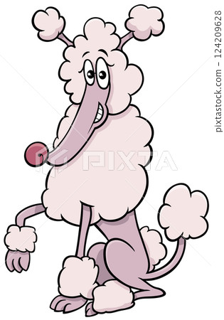 cartoon white poodle purebred dog animal character cartoon white poodle purebred dog animal character 124209628