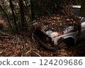 Abandoned cars returned to nature 124209686