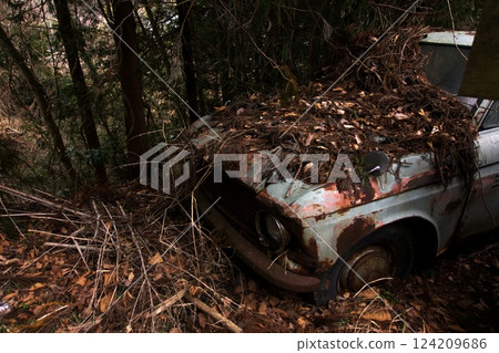 Abandoned cars returned to nature 124209686