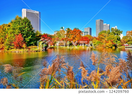 秋高氣爽的札幌中島公園的紅葉 秋高氣爽的札幌中島公園的紅葉 124209760