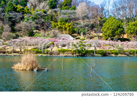 Yakushiike Park, Plum Garden, Machida City, Tokyo, a metropolitan designated scenic spot 124209780