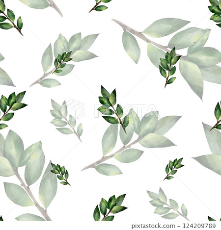 Watercolor seamless pattern with green twigs with leaves. Botanical illustration, isolated on white background. For textile, print, tablecloth, invitations, curtains Watercolor seamless pattern with green twigs with leaves. Botanical illustration, isolated on white background. For textile, print, tablecloth, invitations, curtains 124209789