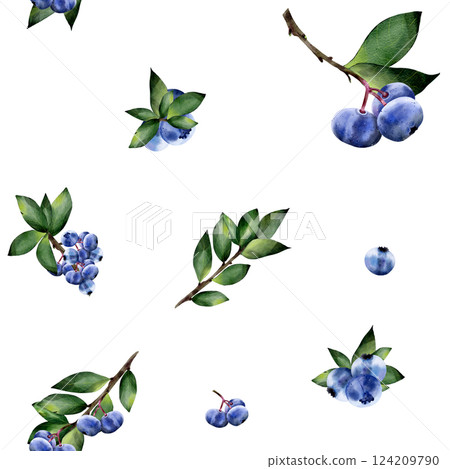 Blueberries with leaves, on a white background. Seamless pattern. Botanical illustration in realistic style. Hand drawn in watercolor for design, fabric printing, scrapbooking, cards 124209790