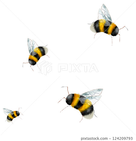 Bumblebee. Seamless watercolor pattern, hand drawn in a realistic style. White background. Botanical illustration for textile, greeting card, stationary wedding, home decor 124209793