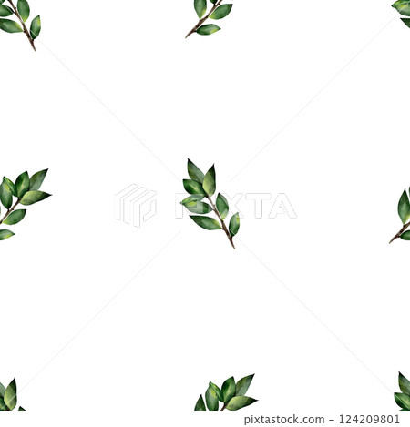 Watercolor seamless pattern with green twigs with leaves. Botanical illustration, isolated on white background. For textile, print, tablecloth, invitations, curtains Watercolor seamless pattern with green twigs with leaves. Botanical illustration, isolated on white background. For textile, print, tablecloth, invitations, curtains 124209801