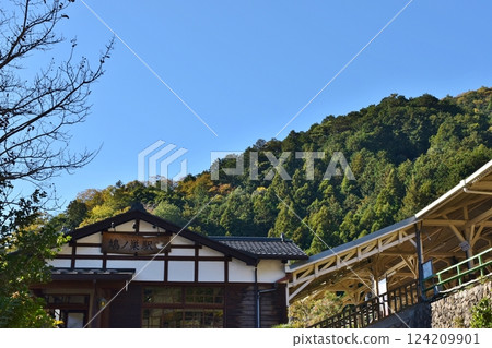 秋天的東京鳩之巢站 124209901