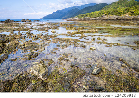 Autumn at Kurio Coast, elevated coral reefs, Yakushima National Park 124209918